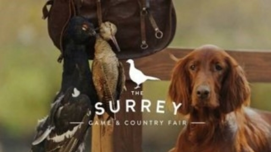 Surrey Game & Country Fair - Loseley House 25 September 2016